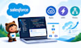 do salesforce development, apex, lwc and flows