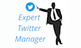 provide twitter manager service by organic marketing or write tweets