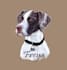make custom pet portraits