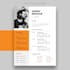 do professional resume design within 2 hrs