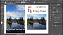 crop and resize picture