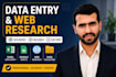do data entry, web research, and excel data collection