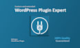 custom build wordpress plugin