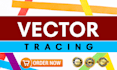 do simple vector tracing in 1 hour