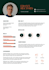 create professional resume for you