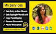 do fast data entry typing work job, ms excel data entry