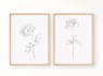draw a minimal custom line art drawing for your etsy shop
