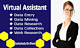 be your professional virtual assistant