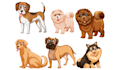 create clipping path for your product
