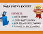do professional level data entry jobs copy paste online typing