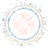 do bioinformatic analysis with any type data