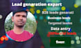 do collect b2b leads generation and data entry