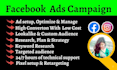 be your facebook ads campaign manager, run fb ads campaign