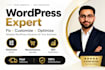 customize, update and edit wordpress website fast