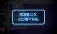 do roblox scripting and game development for you