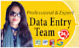 do data entry, data mining, excel spreadsheet job with my team