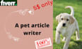write SEO articles and blogs on your pets