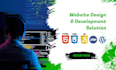 develop responsive custom or wordpress website, blog