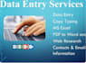 data entry and copy paste and web research and excel data