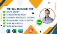 be your personal assistant for fast data entry, scraping