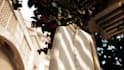edit indian and foreign pre wedding weddingand more