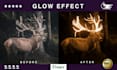 do amazing glow effect, neon light effect or photo manipulation