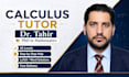 provide expert calculus tutoring for any level