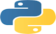 do the python based API and data engineering development