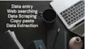 do data entry, web searching, data scraping, data extraction