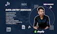 do faithfully data entry, web research, lead generation, VA