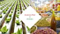 write a business plan for olive oil as well as hydroponic