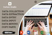 do data entry, input, extraction, collection and data mining