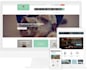 design and develop ecommerce online store website or shoping
