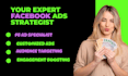be your expert facebook ads strategist