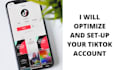 audit and optimize your tiktok account