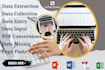 do data entry, input, collection, extraction and data mining