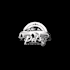 design quality auto detailing services logo