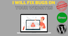 fix the bugs in your websites