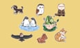 draw cute animal illustrations