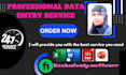 do any kind of data entry copy paste in excel and word