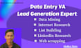 be your fastest data entry VA and lead generation expert