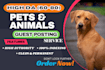 do pets and animal guest post on high da 70 blogs