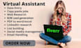 do web research,yellow page,google map scrap,data entry and b2b lead generation
