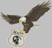 embroidery logo digitizing design into dst file in 2 hour