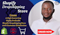build winning product shopify dropshipping store, shopify website shopify store