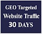genrate organic website traffic