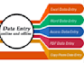 provide data entry and ms excel services