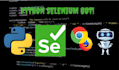 automate your website using python selenium