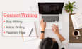 write seo optimized article, blog and technical writing