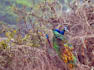 plan your itinerary for India visit